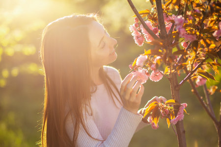 A girl with long hair smells a beautiful flower on a blooming cherry apple tree at sunset. The concept of spring, calm, femininity and loveの写真素材