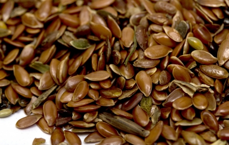 flax seeds for further processingの写真素材