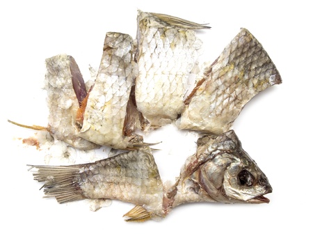 Dried fish, dried on a white backgroundの写真素材