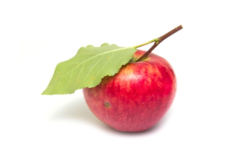 red apple on a white backgroundの写真素材