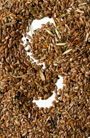 flax seeds for further processingの写真素材