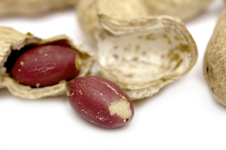 peanuts, peanutの写真素材