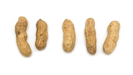 peanuts, peanutの写真素材