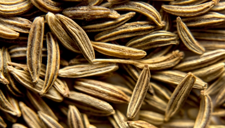 Seasoning grains, zira, kumin