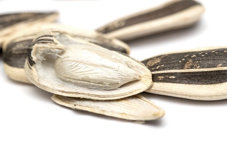 raw sunflower seedsの写真素材