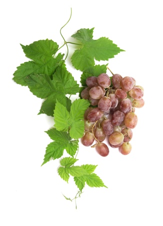 grapes with green leaves on a white backgroundの写真素材