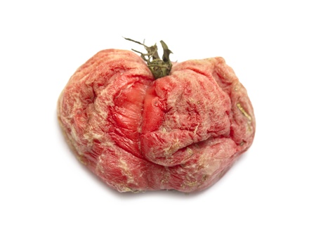 rotten tomato on a white backgroundの写真素材
