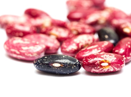 beans pattern の写真素材