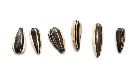 raw sunflower seeds