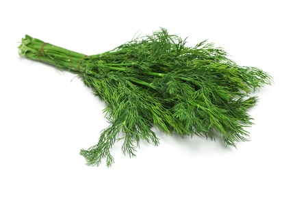 green dill on a white backgroundの写真素材