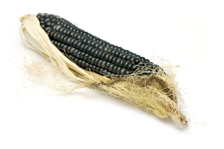 black corn on a white backgroundの写真素材