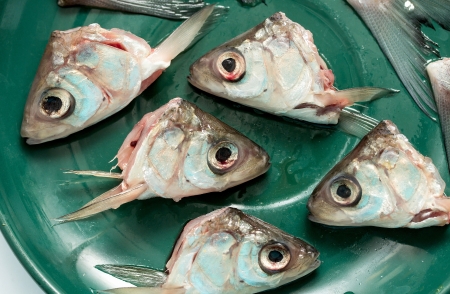 fish head on a plateの写真素材