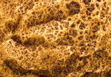 loaf of bread on a white backgroundの写真素材