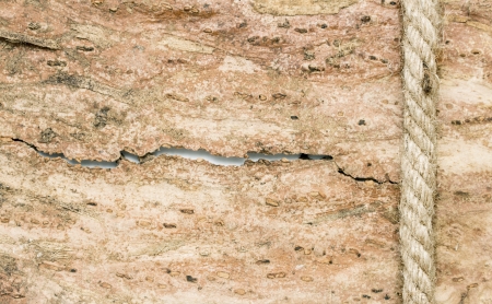 rope on a wooden backgroundの写真素材