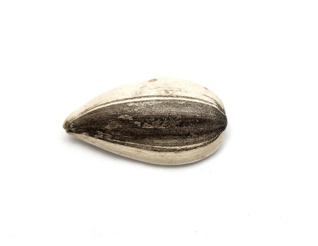 sunflower seeds