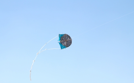 kite in the skyの写真素材