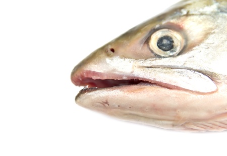 pink fish