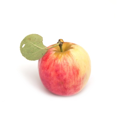 apple on a white backgroundの写真素材