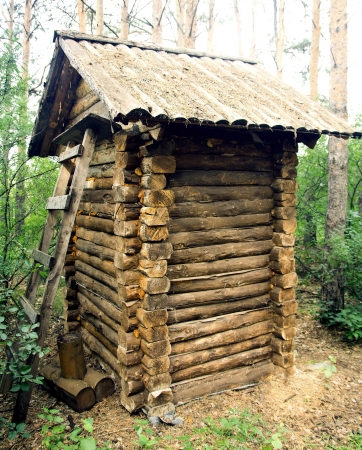 wooden house in the woodsの写真素材