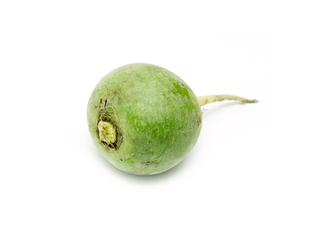Two green radish on a white backgroundの写真素材