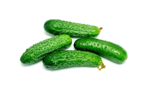 green cucumber on white backgroundの写真素材