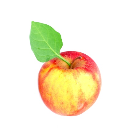 ripe apple on a white backgroundの写真素材