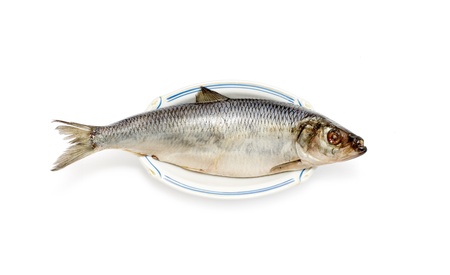 Salted herring fish isolated on white background