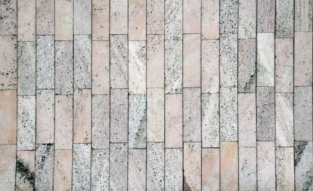 patterned paving tilesの写真素材