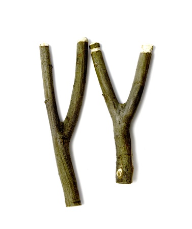 wooden slingshotの写真素材