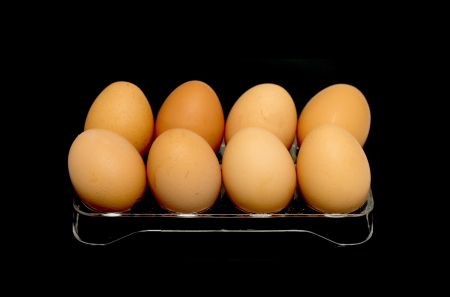 eggs on a black background