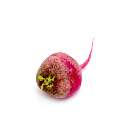 radishes on a white backgroundの写真素材