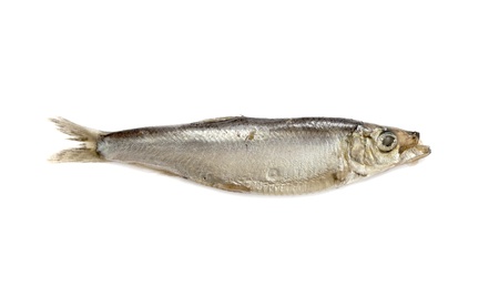 sprat fish