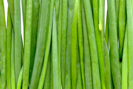 beautiful green onion chives closeupの写真素材