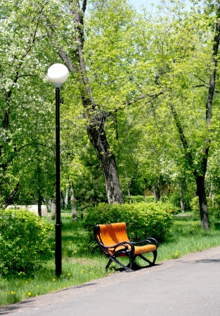 new wooden bench in a city parkの写真素材