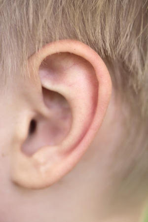 close up of baby earの写真素材