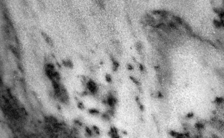 granite slab, marble textureの写真素材