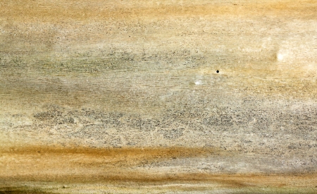 Old rough tree bark background textureの写真素材