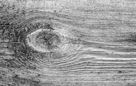 Old wood wall texture backgroundの写真素材