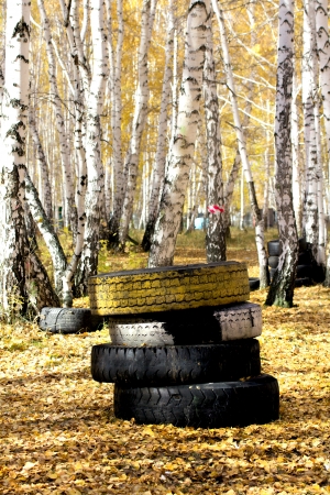 Old automobile tyre thrown out in a forestの写真素材