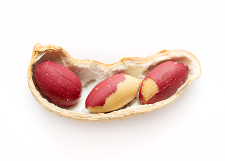 groundnuts peanutsの写真素材