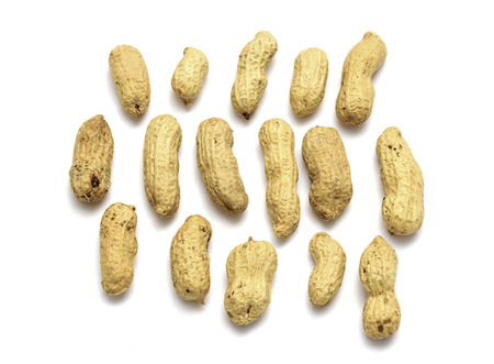 groundnuts peanuts