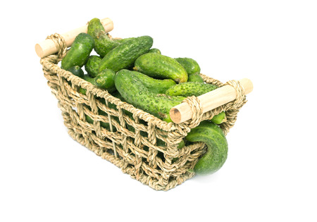 Harvest cucumbers in a basket on white backgroundの写真素材