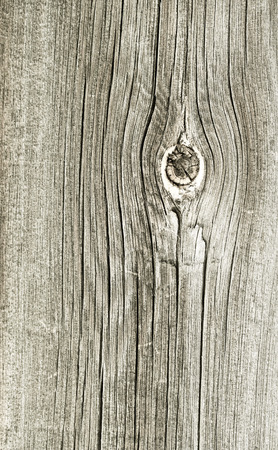 old barn wood boardの写真素材