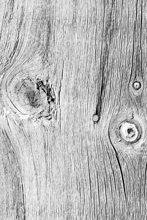 Black and white wood textureの写真素材
