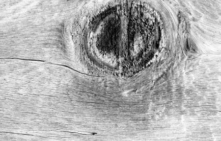 Black and white wood textureの写真素材