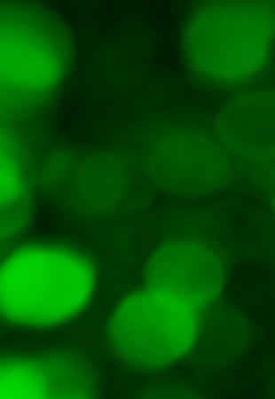 Abstract circular colorful bokeh from the party lightの写真素材