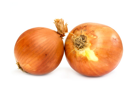 onion on a white backgroundの写真素材