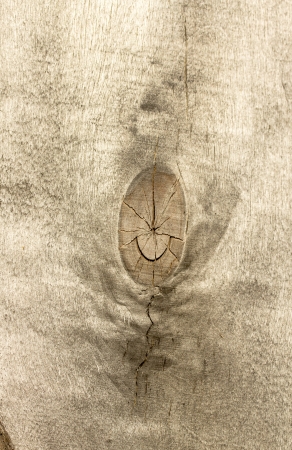 wooden backgroundの写真素材