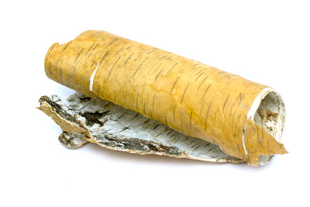 rolled up in roll birch's bark on white backgroundの写真素材