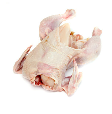 Bird chicken meat on a white backgroundの写真素材